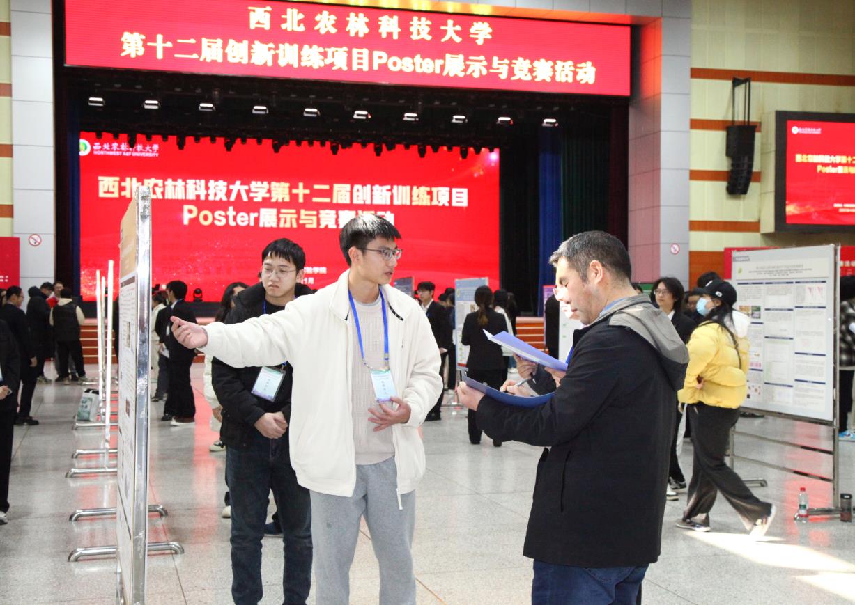 7.参赛员工2.jpg