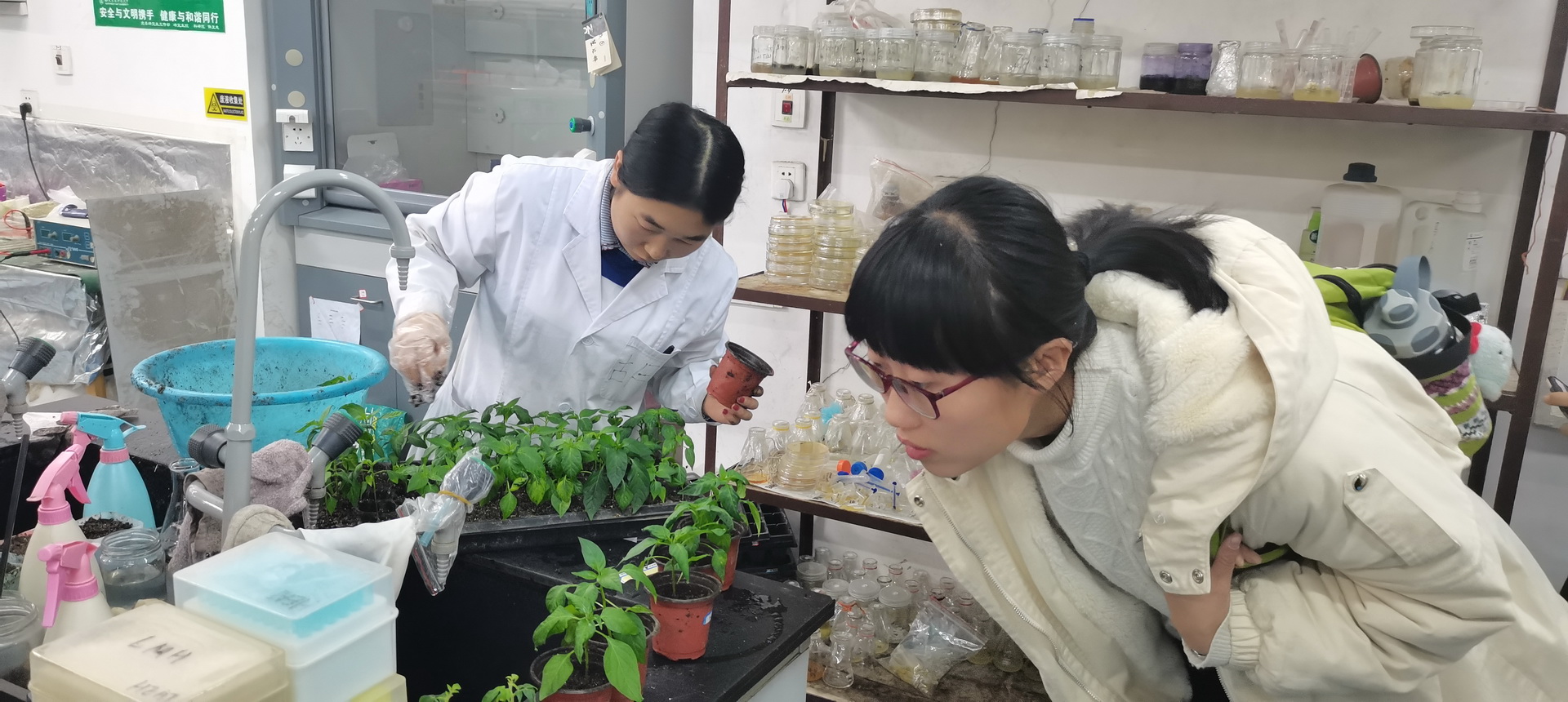 同学参观实验室室 同学参观实验室室