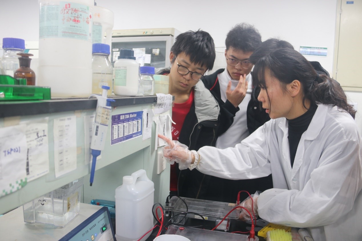 实验室研究生讲解实验内容2 实验室研究生讲解实验内容2