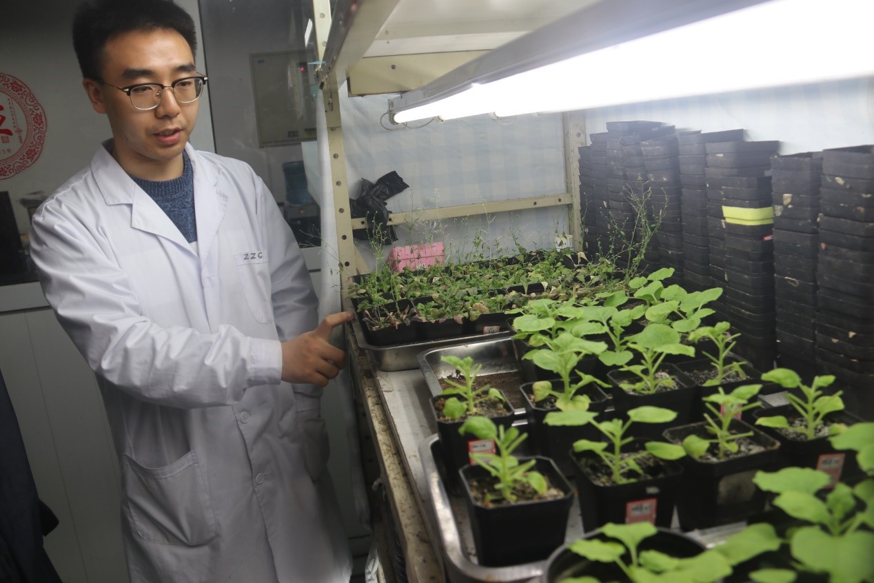 参观植物培养室 参观植物培养室