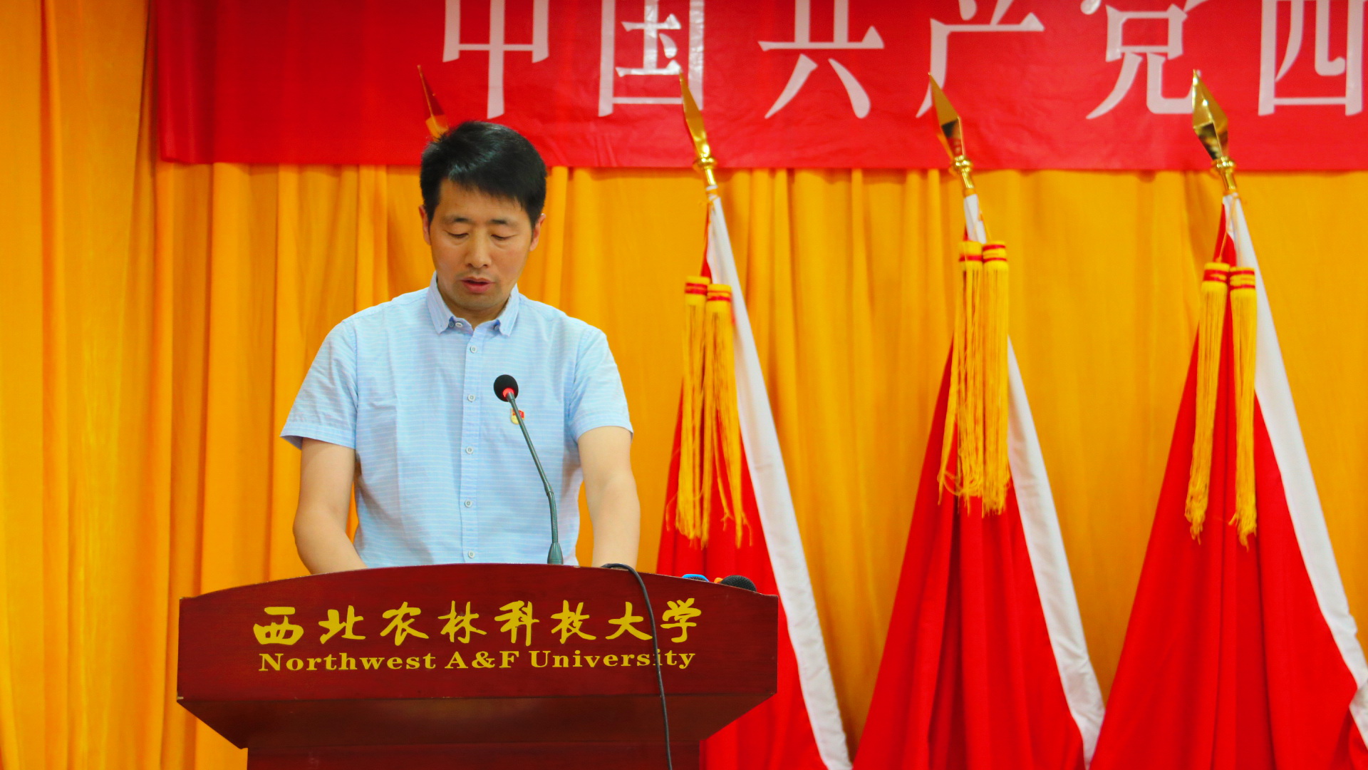 秦清军宣读公司党委批复
