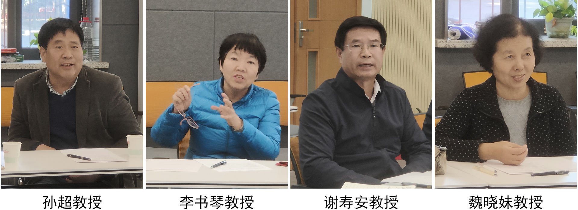 评审专家发言 评审专家发言