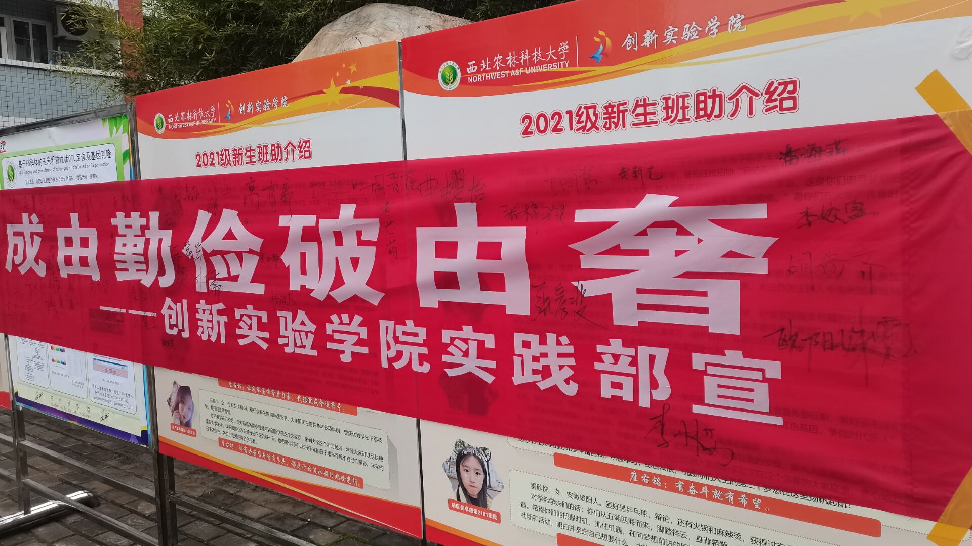志愿签名活动之后的横幅 志愿签名活动之后的横幅