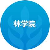林公司