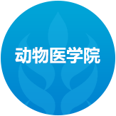 动物医公司