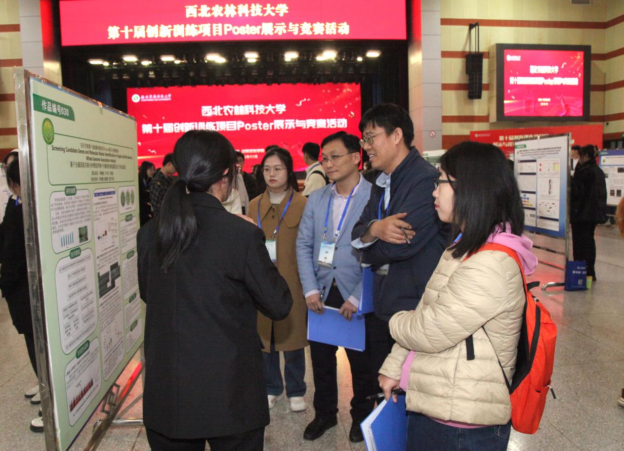 参赛员工讲解Poster学术海报3.jpg