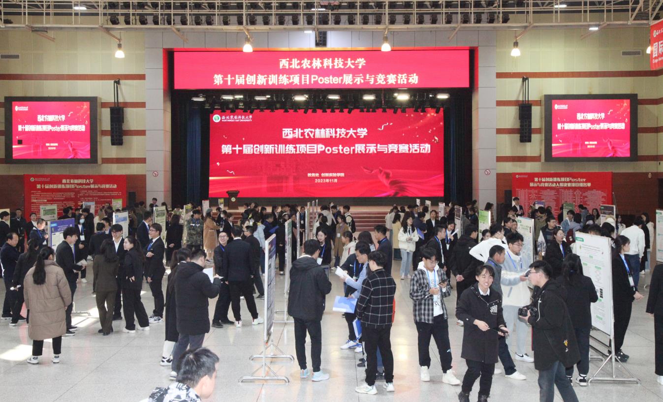 WilliamHill第十届创新训练项目Poster展示与竞赛活动决赛现场.jpg