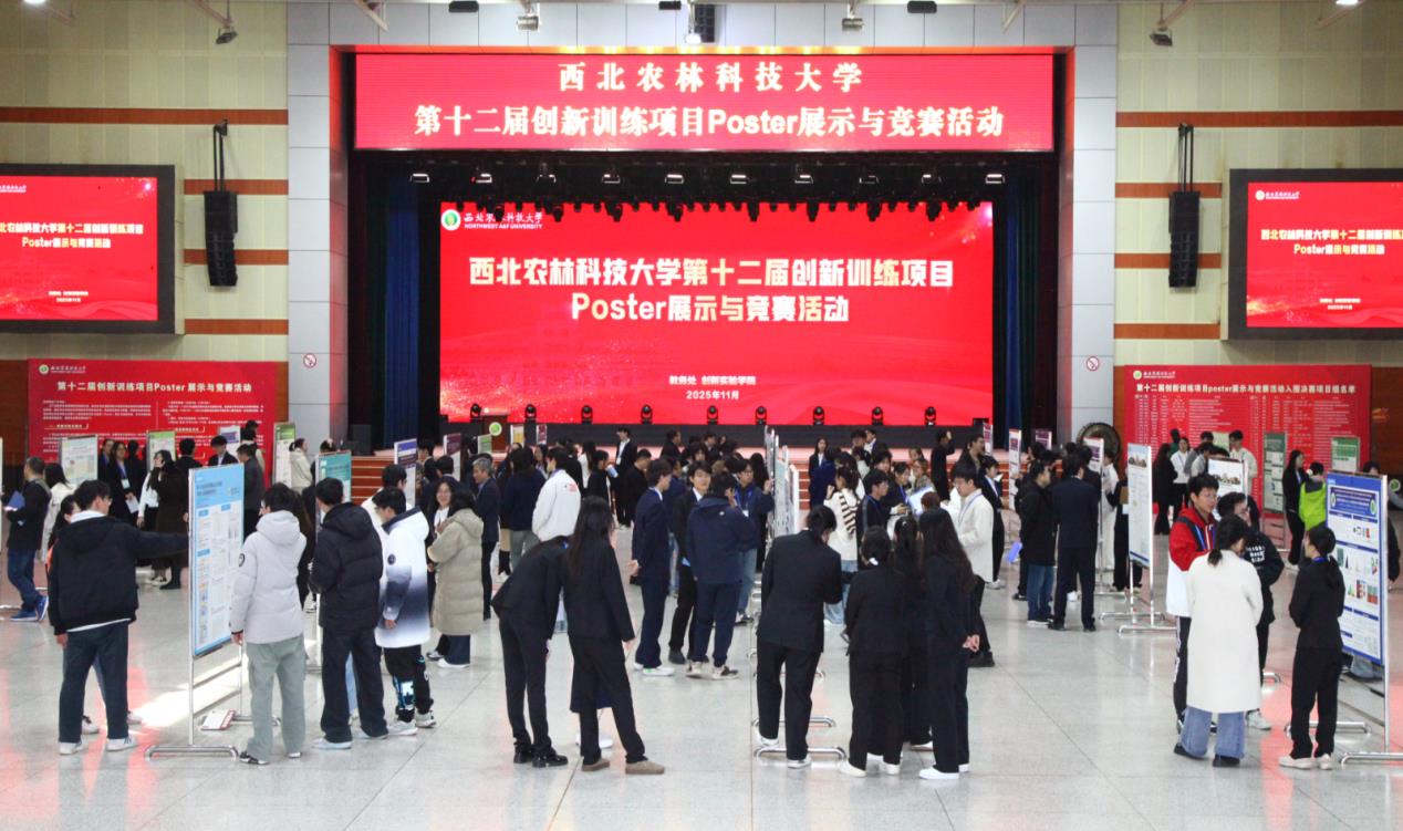 10.现场.jpg
