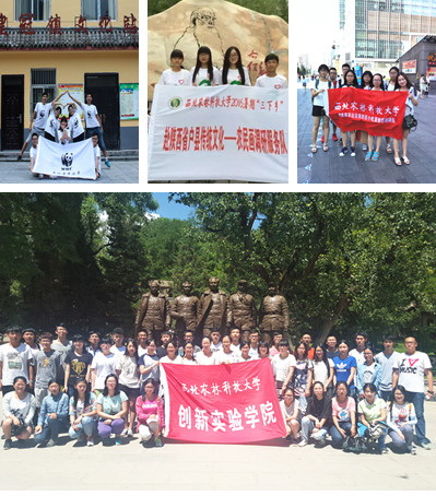 社会实践我们在行动