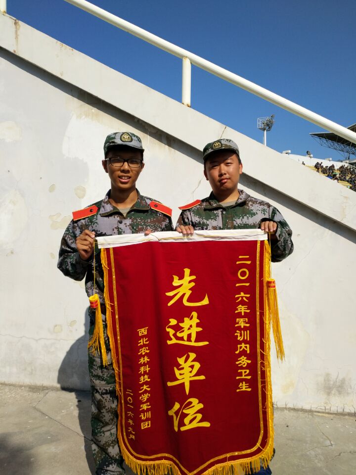 荣获锦旗