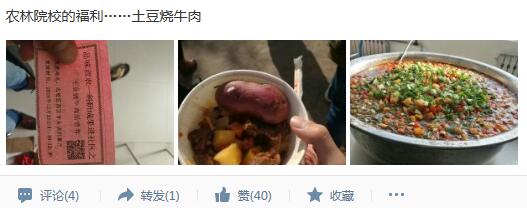 员工QQ空间表达爱校情怀