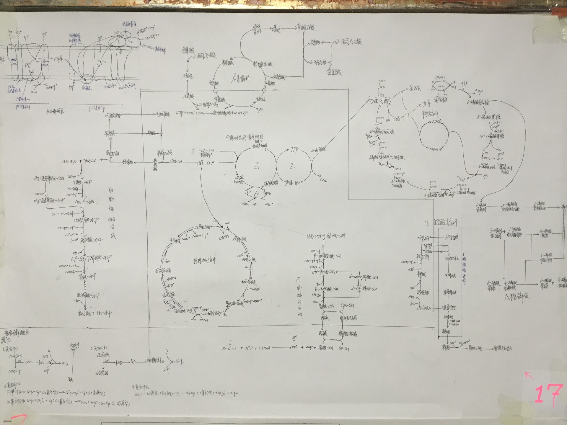 优秀作业(四)
