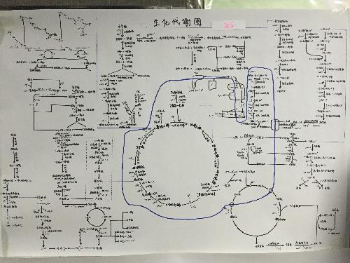 优秀作业(五)