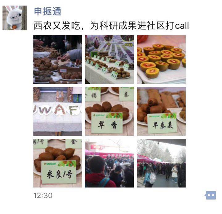 员工利用新媒体平台表达喜悦之情
