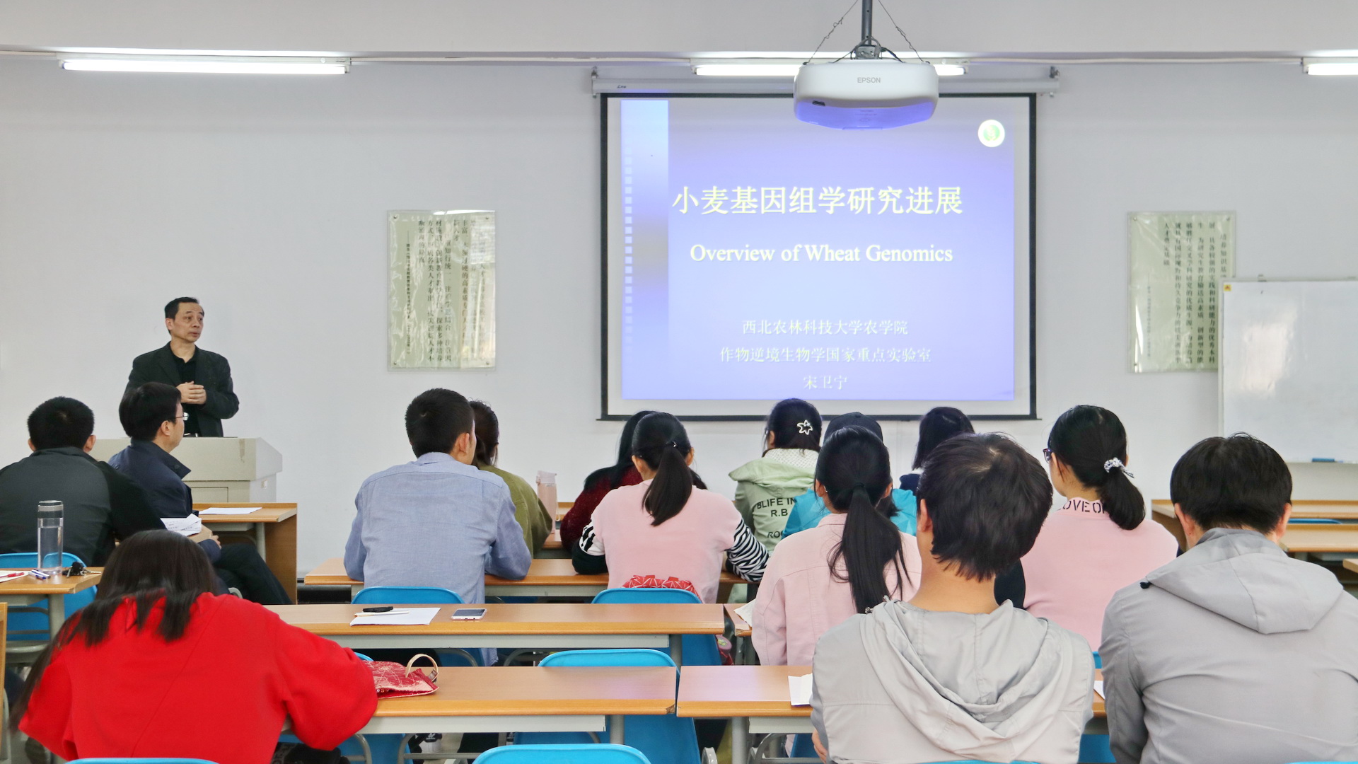 农公司宋卫宁教授来院做报告
